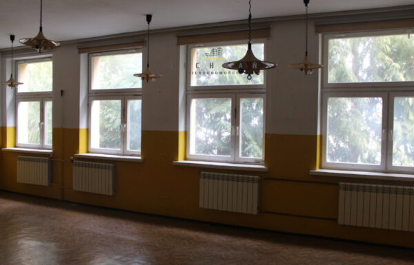 117332843_max.jpg