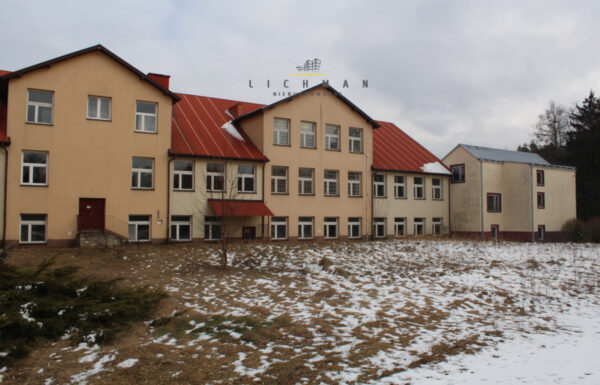 117333158_max.jpg